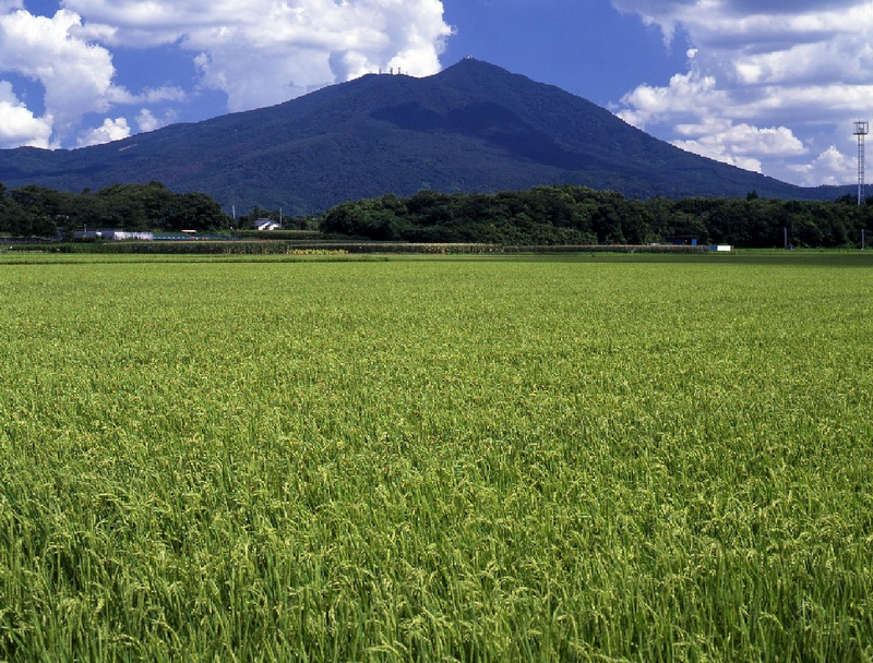 茨城県 イメージ