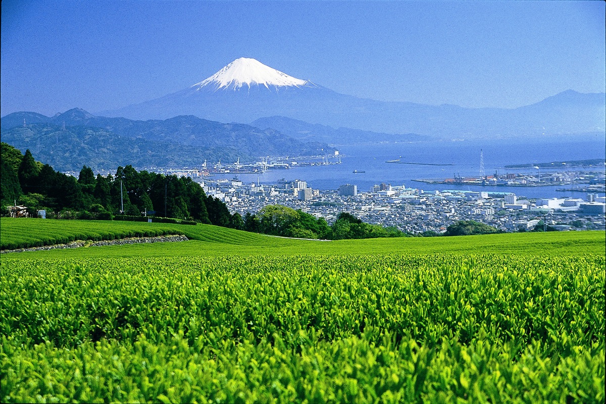 静岡県 イメージ